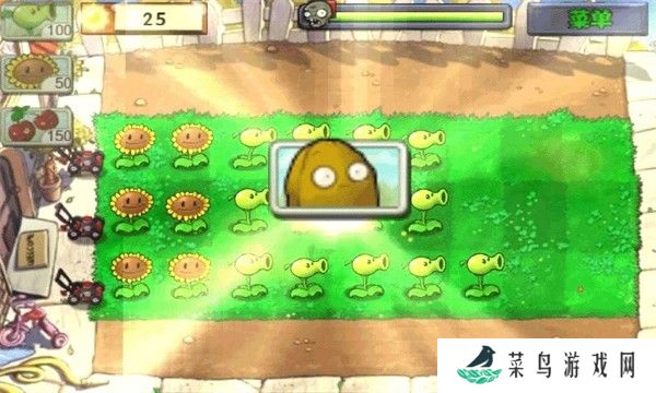 植物大战僵尸新版2025